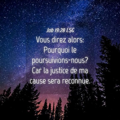 Picture 04 - Job 19:28 LSG - Vous direz alors: Pourquoi le poursuivions-nous? - Bible Verse Picture