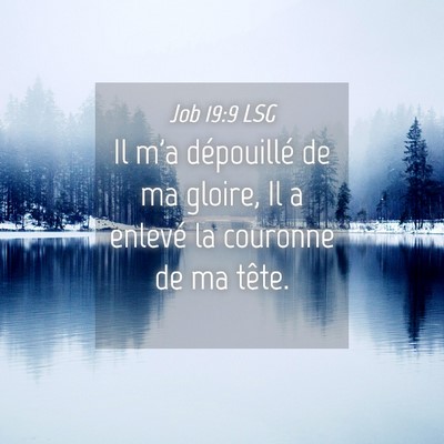 Picture 04 - Job 19:9 LSG - Il m'a dépouillé de ma gloire, Il a enlevé la - Bible Verse Picture