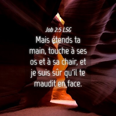 Picture 04 - Job 2:5 LSG - Mais étends ta main, touche à ses os et à sa - Bible Verse Picture