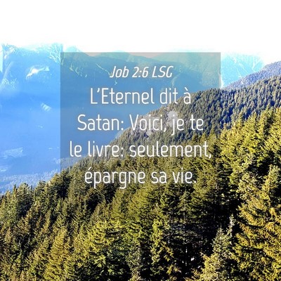 Picture 04 - Job 2:6 LSG - L'Eternel dit à Satan: Voici, je te le livre: - Bible Verse Picture