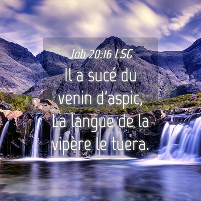 Picture 04 - Job 20:16 LSG - Il a sucé du venin d'aspic, La langue de la - Bible Verse Picture