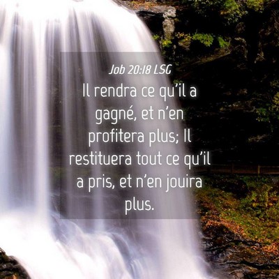 Picture 04 - Job 20:18 LSG - Il rendra ce qu'il a gagné, et n'en profitera - Bible Verse Picture