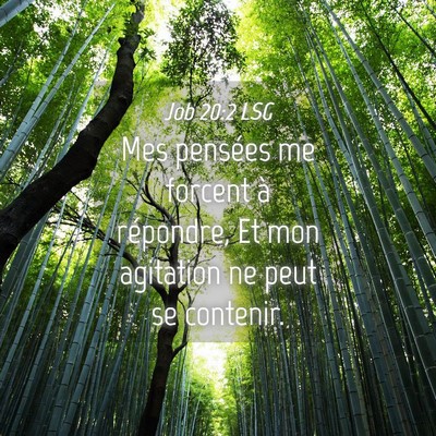 Picture 04 - Job 20:2 LSG - Mes pensées me forcent à répondre, Et mon - Bible Verse Picture