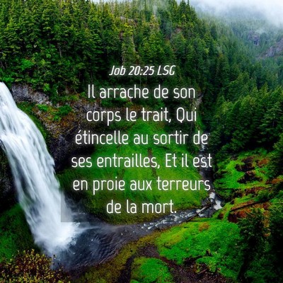 Picture 04 - Job 20:25 LSG - Il arrache de son corps le trait, Qui étincelle - Bible Verse Picture