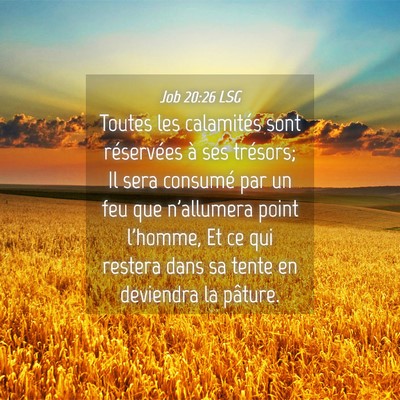 Picture 04 - Job 20:26 LSG - Toutes les calamités sont réservées à ses - Bible Verse Picture
