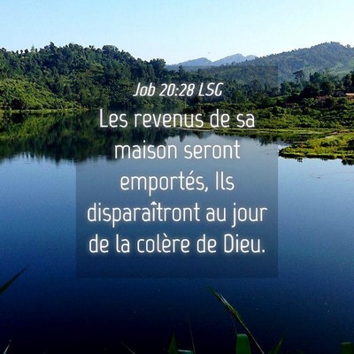 Picture 04 - Job 20:28 LSG - Les revenus de sa maison seront emportés, Ils - Bible Verse Picture
