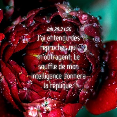 Picture 04 - Job 20:3 LSG - J'ai entendu des reproches qui m'outragent; Le - Bible Verse Picture