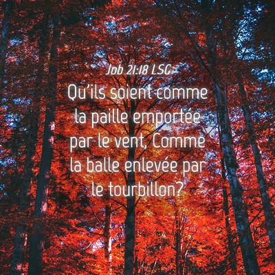 Picture 04 - Job 21:18 LSG - Qu'ils soient comme la paille emportée par le - Bible Verse Picture