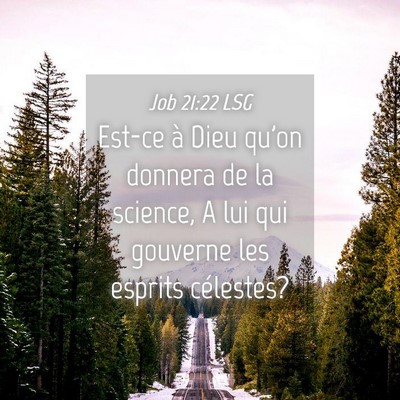 Picture 04 - Job 21:22 LSG - Est-ce à Dieu qu'on donnera de la science, A lui - Bible Verse Picture