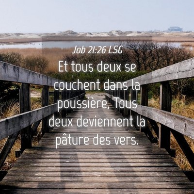 Picture 04 - Job 21:26 LSG - Et tous deux se couchent dans la poussière, Tous - Bible Verse Picture