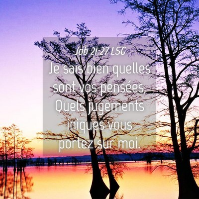 Picture 04 - Job 21:27 LSG - Je sais bien quelles sont vos pensées, Quels - Bible Verse Picture