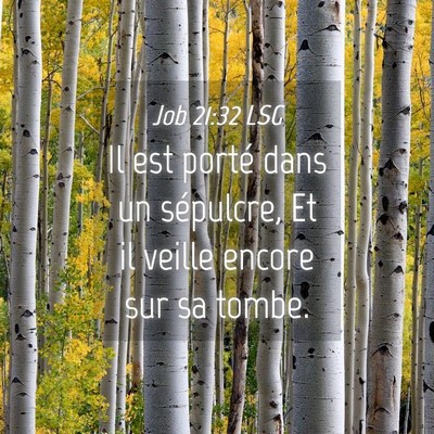 Picture 04 - Job 21:32 LSG - Il est porté dans un sépulcre, Et il veille - Bible Verse Picture