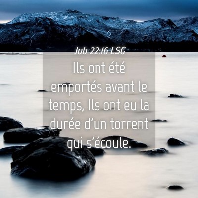Picture 04 - Job 22:16 LSG - Ils ont été emportés avant le temps, Ils ont - Bible Verse Picture