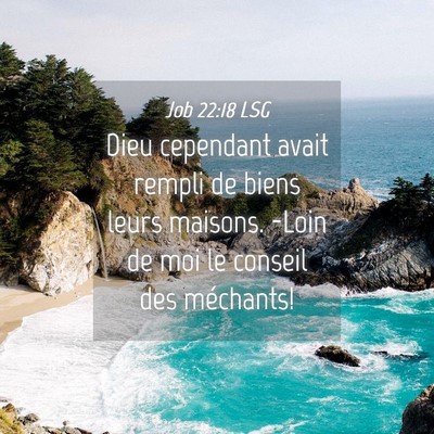 Picture 04 - Job 22:18 LSG - Dieu cependant avait rempli de biens leurs - Bible Verse Picture