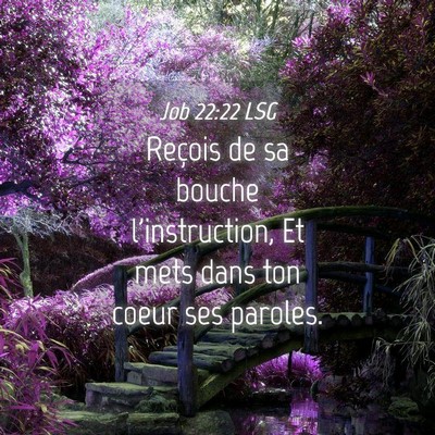 Picture 04 - Job 22:22 LSG - Reçois de sa bouche l'instruction, Et mets dans - Bible Verse Picture