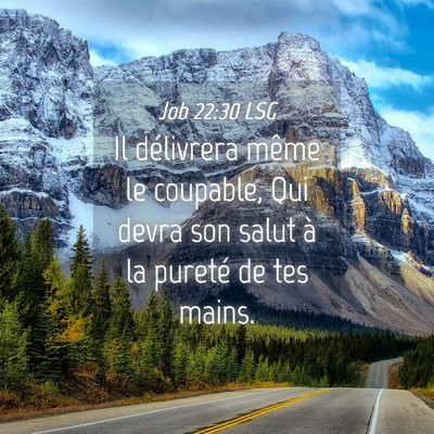 Picture 04 - Job 22:30 LSG - Il délivrera même le coupable, Qui devra son - Bible Verse Picture