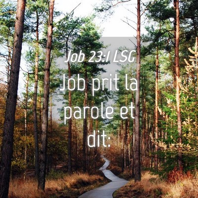 Picture 04 - Job 23:1 LSG - Job prit la parole et - Bible Verse Picture