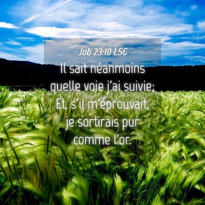 Picture 04 - Job 23:10 LSG - Il sait néanmoins quelle voie j'ai suivie; Et, - Bible Verse Picture