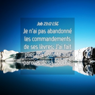 Picture 04 - Job 23:12 LSG - Je n'ai pas abandonné les commandements de ses - Bible Verse Picture