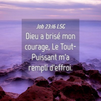 Picture 04 - Job 23:16 LSG - Dieu a brisé mon courage, Le Tout-Puissant m'a - Bible Verse Picture