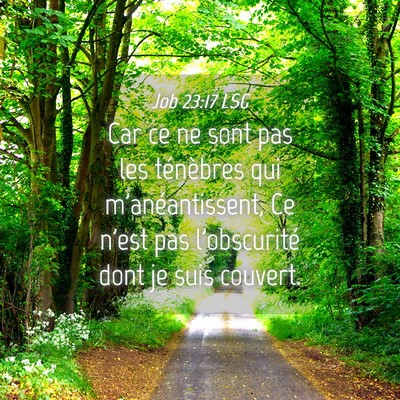 Picture 04 - Job 23:17 LSG - Car ce ne sont pas les ténèbres qui - Bible Verse Picture