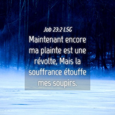 Picture 04 - Job 23:2 LSG - Maintenant encore ma plainte est une révolte, - Bible Verse Picture