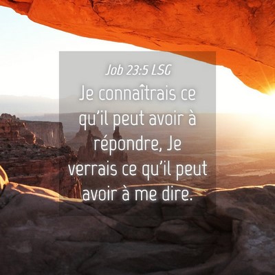 Picture 04 - Job 23:5 LSG - Je connaîtrais ce qu'il peut avoir à répondre, - Bible Verse Picture