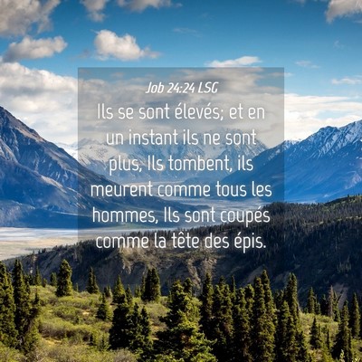 Picture 04 - Job 24:24 LSG - Ils se sont élevés; et en un instant ils ne - Bible Verse Picture