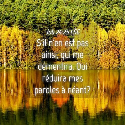 Picture 04 - Job 24:25 LSG - S'il n'en est pas ainsi, qui me démentira, Qui - Bible Verse Picture
