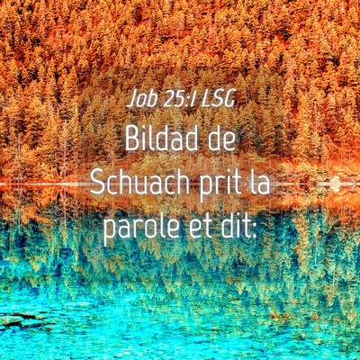 Picture 04 - Job 25:1 LSG - Bildad de Schuach prit la parole et - Bible Verse Picture
