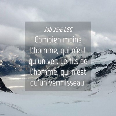 Picture 04 - Job 25:6 LSG - Combien moins l'homme, qui n'est qu'un ver, Le - Bible Verse Picture
