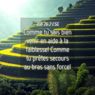 Picture 04 - Job 26:2 LSG - Comme tu sais bien venir en aide à la faiblesse! - Bible Verse Picture