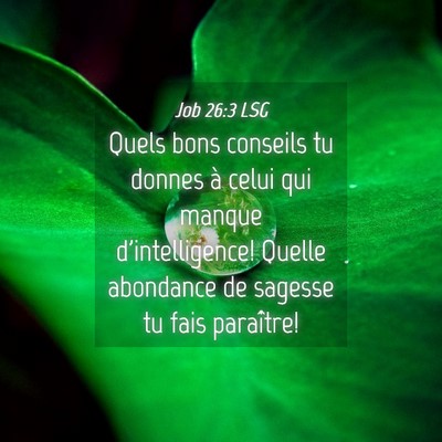 Picture 04 - Job 26:3 LSG - Quels bons conseils tu donnes à celui qui manque - Bible Verse Picture