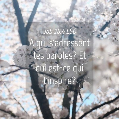 Picture 04 - Job 26:4 LSG - A qui s'adressent tes paroles? Et qui est-ce qui - Bible Verse Picture