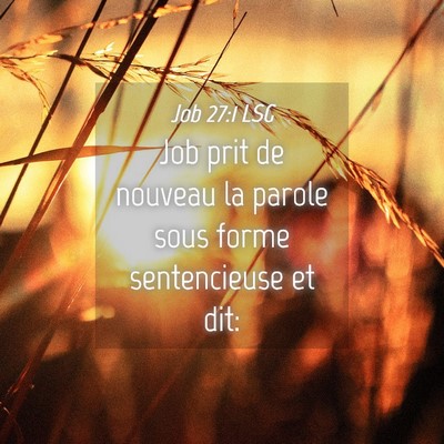 Picture 04 - Job 27:1 LSG - Job prit de nouveau la parole sous forme - Bible Verse Picture