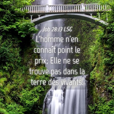 Picture 04 - Job 28:13 LSG - L'homme n'en connaît point le prix; Elle ne se - Bible Verse Picture