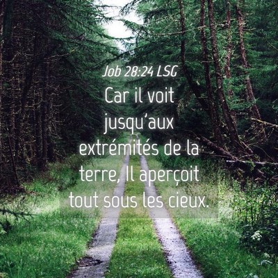 Picture 04 - Job 28:24 LSG - Car il voit jusqu'aux extrémités de la terre, - Bible Verse Picture