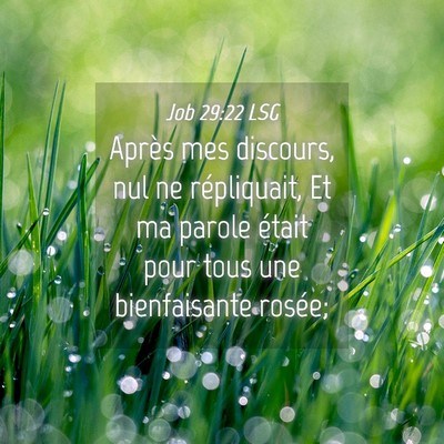 Picture 04 - Job 29:22 LSG - Après mes discours, nul ne répliquait, Et ma - Bible Verse Picture