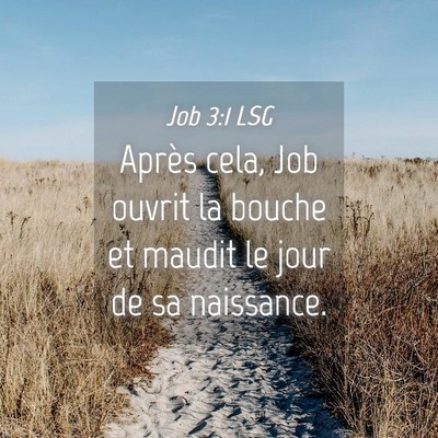 Picture 04 - Job 3:1 LSG - Après cela, Job ouvrit la bouche et maudit le - Bible Verse Picture
