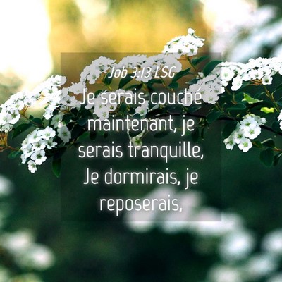 Picture 04 - Job 3:13 LSG - Je serais couché maintenant, je serais - Bible Verse Picture