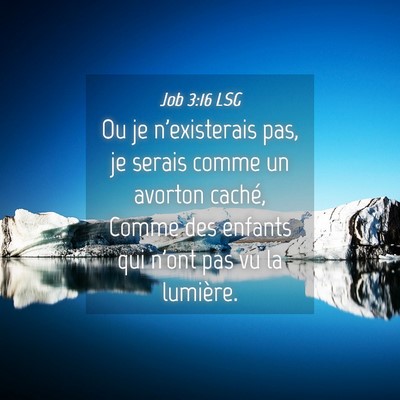 Picture 04 - Job 3:16 LSG - Ou je n'existerais pas, je serais comme un - Bible Verse Picture