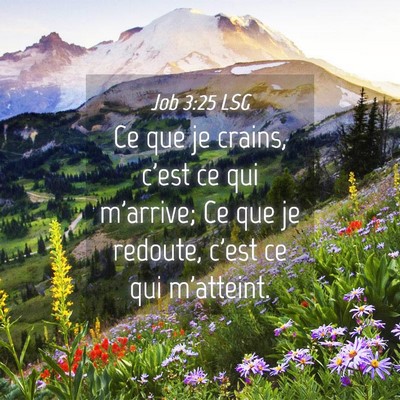 Picture 04 - Job 3:25 LSG - Ce que je crains, c'est ce qui m'arrive; Ce que - Bible Verse Picture