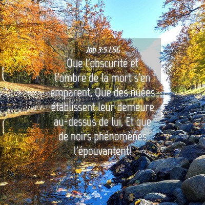 Picture 04 - Job 3:5 LSG - Que l'obscurité et l'ombre de la mort s'en - Bible Verse Picture