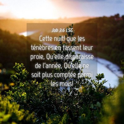 Picture 04 - Job 3:6 LSG - Cette nuit! que les ténèbres en fassent leur - Bible Verse Picture