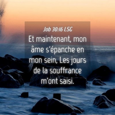 Picture 04 - Job 30:16 LSG - Et maintenant, mon âme s'épanche en mon sein, - Bible Verse Picture