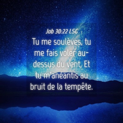 Picture 04 - Job 30:22 LSG - Tu me soulèves, tu me fais voler au-dessus du - Bible Verse Picture