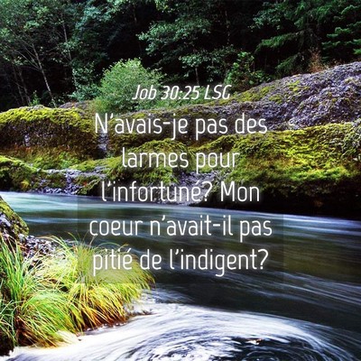 Picture 04 - Job 30:25 LSG - N'avais-je pas des larmes pour l'infortuné? Mon - Bible Verse Picture