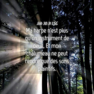Picture 04 - Job 30:31 LSG - Ma harpe n'est plus qu'un instrument de deuil, Et - Bible Verse Picture