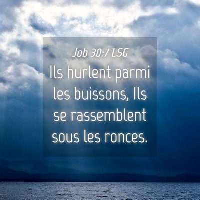 Picture 04 - Job 30:7 LSG - Ils hurlent parmi les buissons, Ils se - Bible Verse Picture