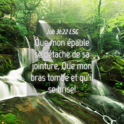 Picture 04 - Job 31:22 LSG - Que mon épaule se détache de sa jointure, Que - Bible Verse Picture
